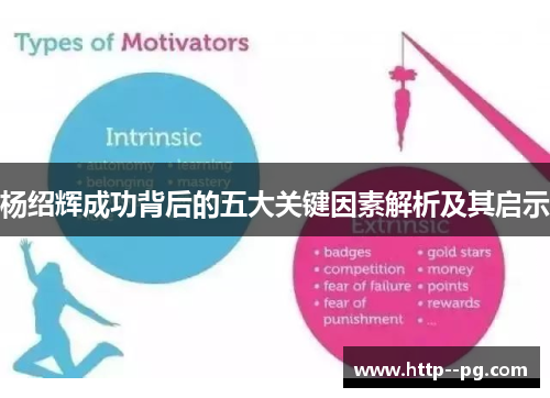 杨绍辉成功背后的五大关键因素解析及其启示